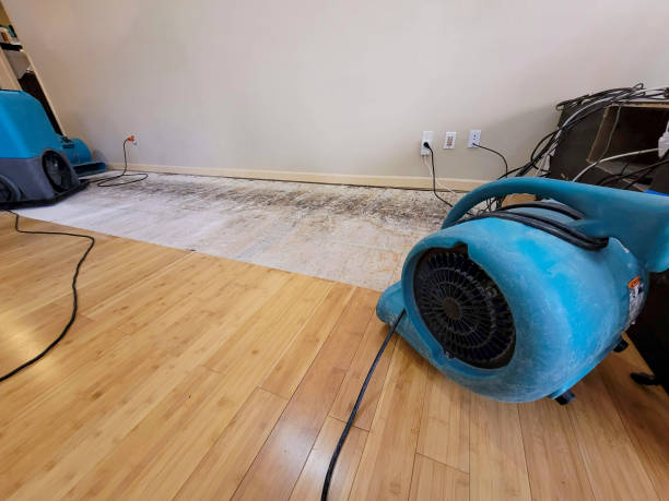 Professional Water Damage Repair technician working in Brandeis, CA